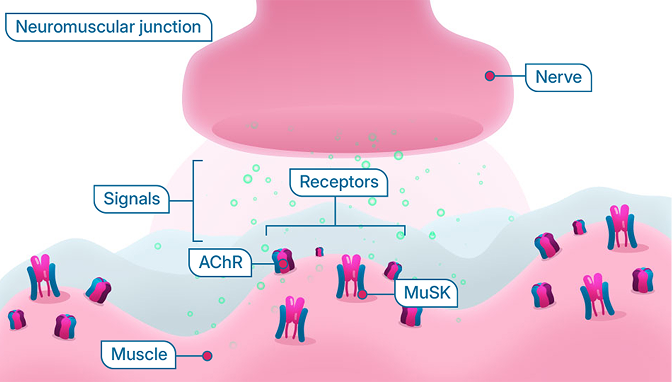 Side Effects FPO
